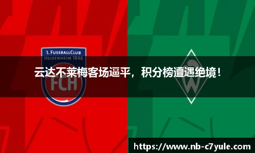 c7娱乐